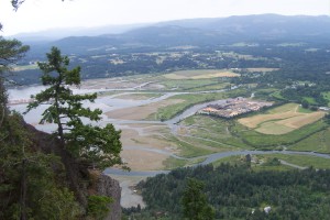 Cowichan River Estuary. Photo: Gerry Thomasen