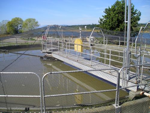 Secondary Treatment of Wastewater: is it Good Enough? • Georgia Strait Alliance