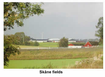 Skåne fields