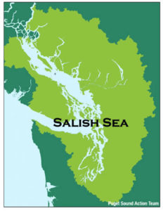 salish sea