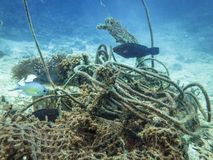 Ghost gear & more: Over 2,700 tonnes of fishing materials