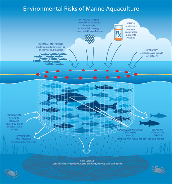 Aquaculture risks - Dr. G. Pararas Carayannis