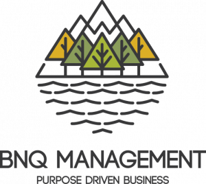 BNQ Management logo