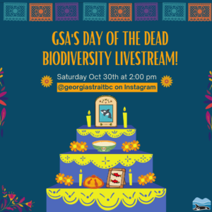 A graphic showing a drawing of a Day of the Dead altar in the middle, with pictures of an orca and salmon on it, with text promoting the livestream on Instagram.