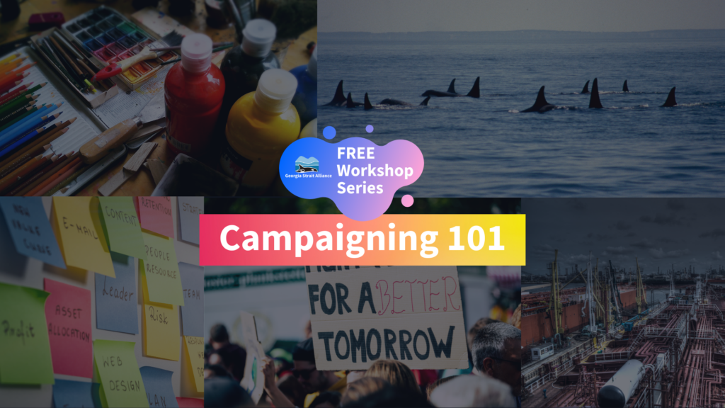 A graphic showing the tile for our Campaigning 101 Workshop Series