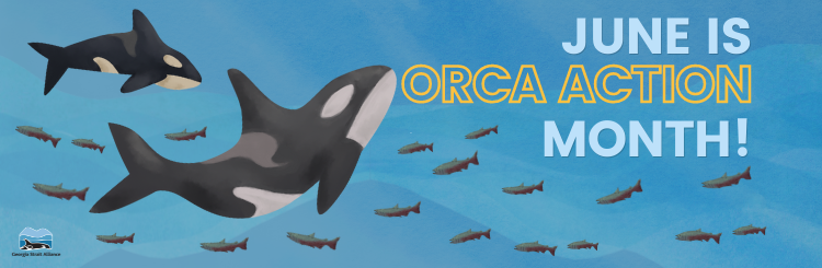June is Orca Month banner