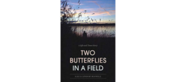 Two Butterflies in a Field
