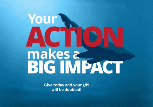 Give today and your gift will be doubled!