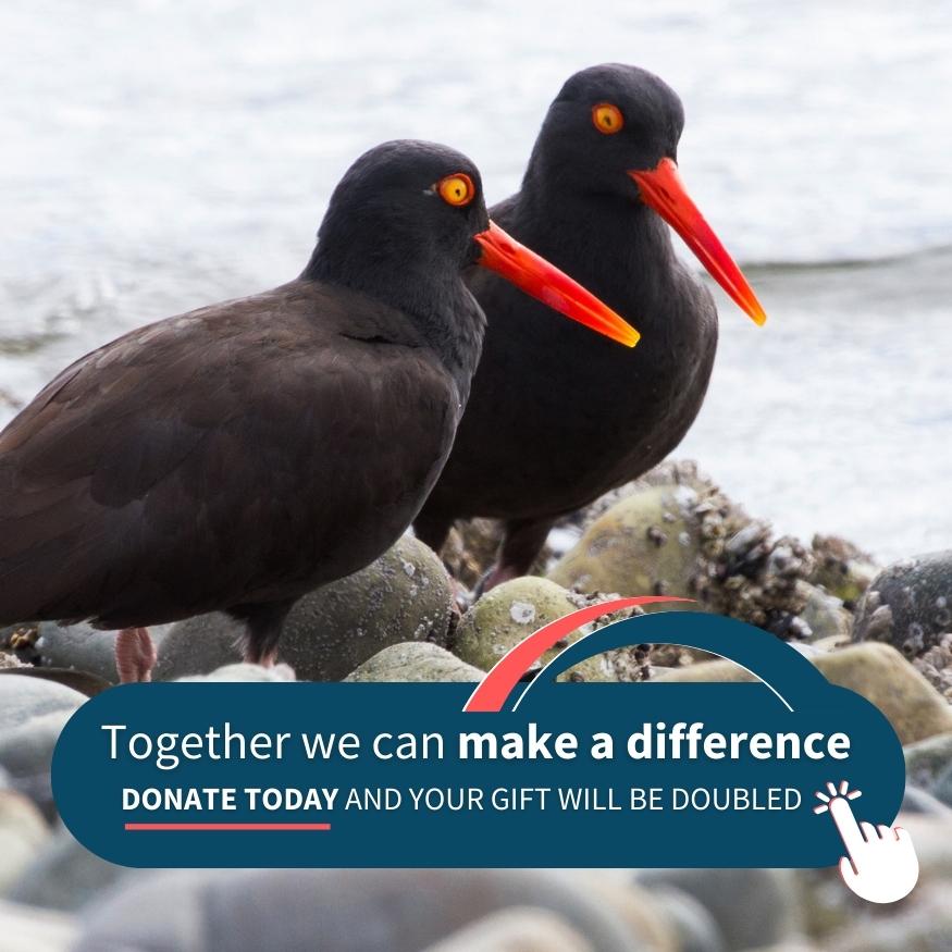Together we can make a difference - donate today and your gift will be doubled