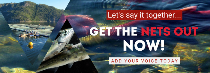 Let's say it together... Get the nets out now! Add your voice today