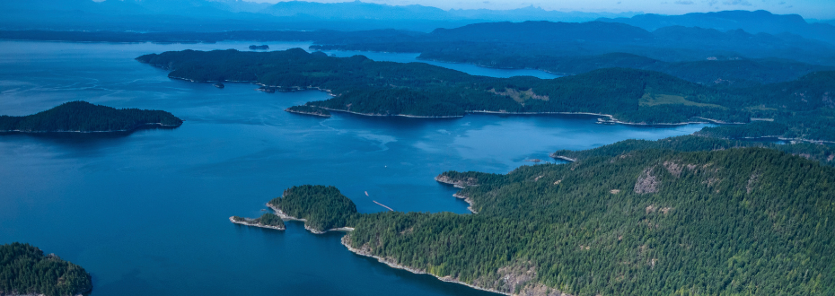 Aerial of Discovery Island Passage