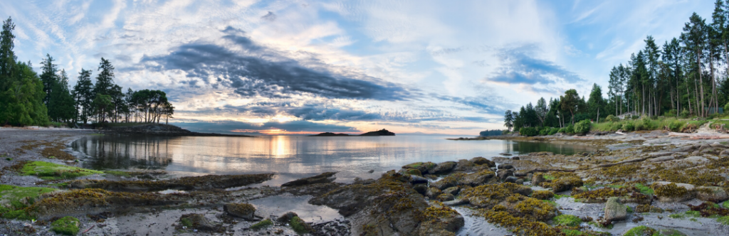 Morning light on a small ocean cove