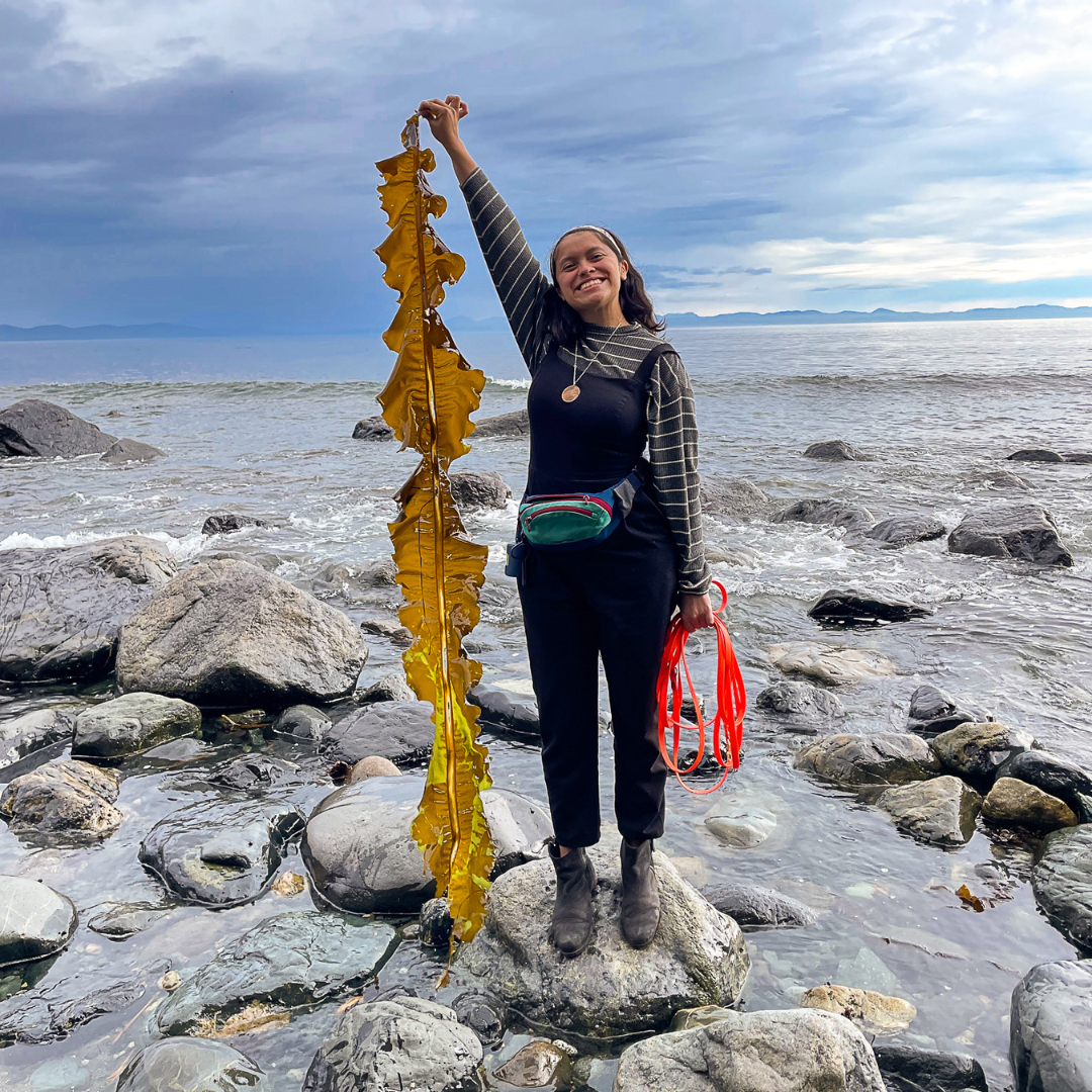 Lucero holding up an impressive piece of seaweed on a beach