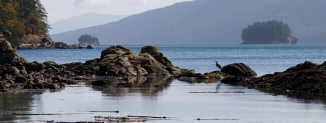 A quiet bay on Mayne Island, in the Gulf Islands group off the coast of British Columbia. Image: Thomas Quine, flickr