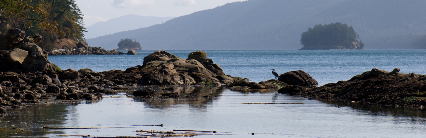 A quiet bay on Mayne Island, in the Gulf Islands group off the coast of British Columbia. Image: Thomas Quine, flickr