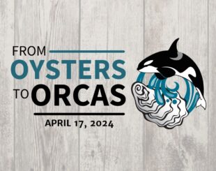 From Oysters to Orcas 2024 graphic