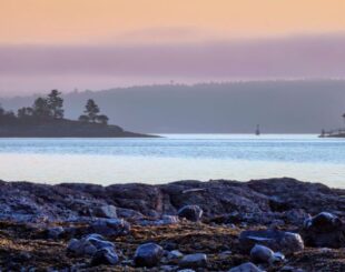 Pastel sunrise over Salish Sea in Sidney
