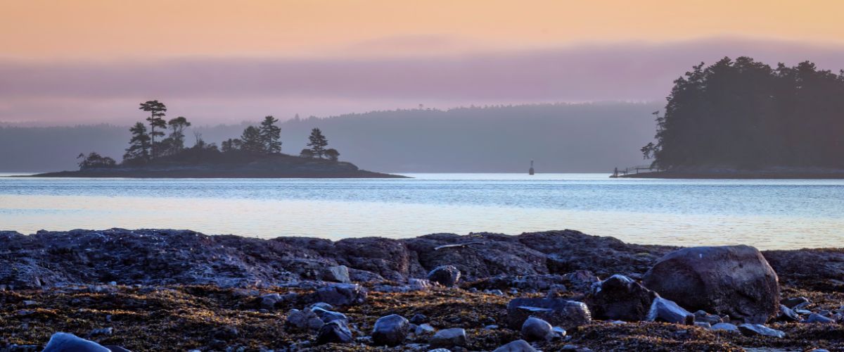 Pastel sunrise over Salish Sea in Sidney