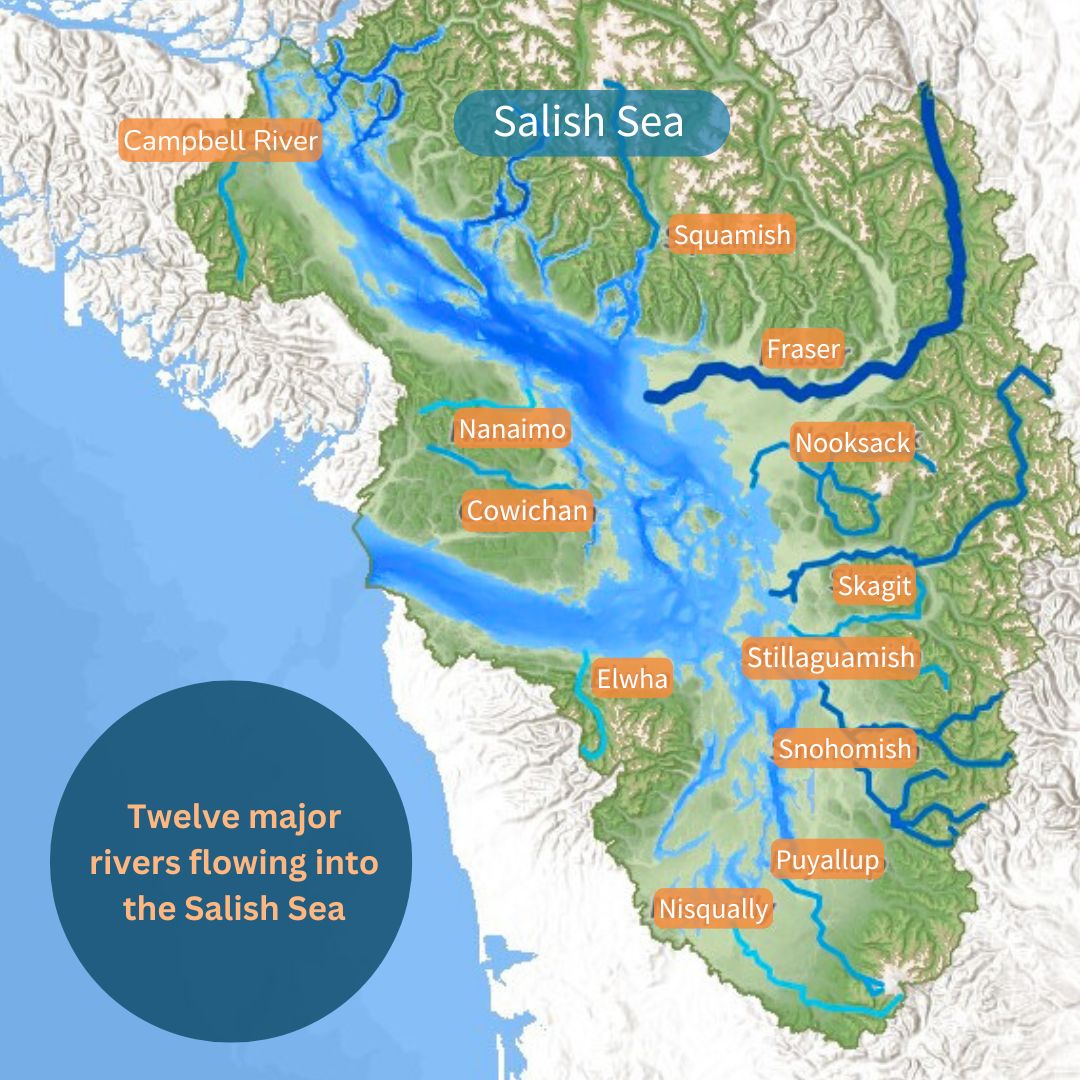 Map: Twelve major rivers flowing into the Salish Sea