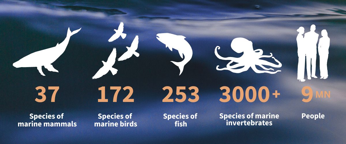 Graphic with species numbers