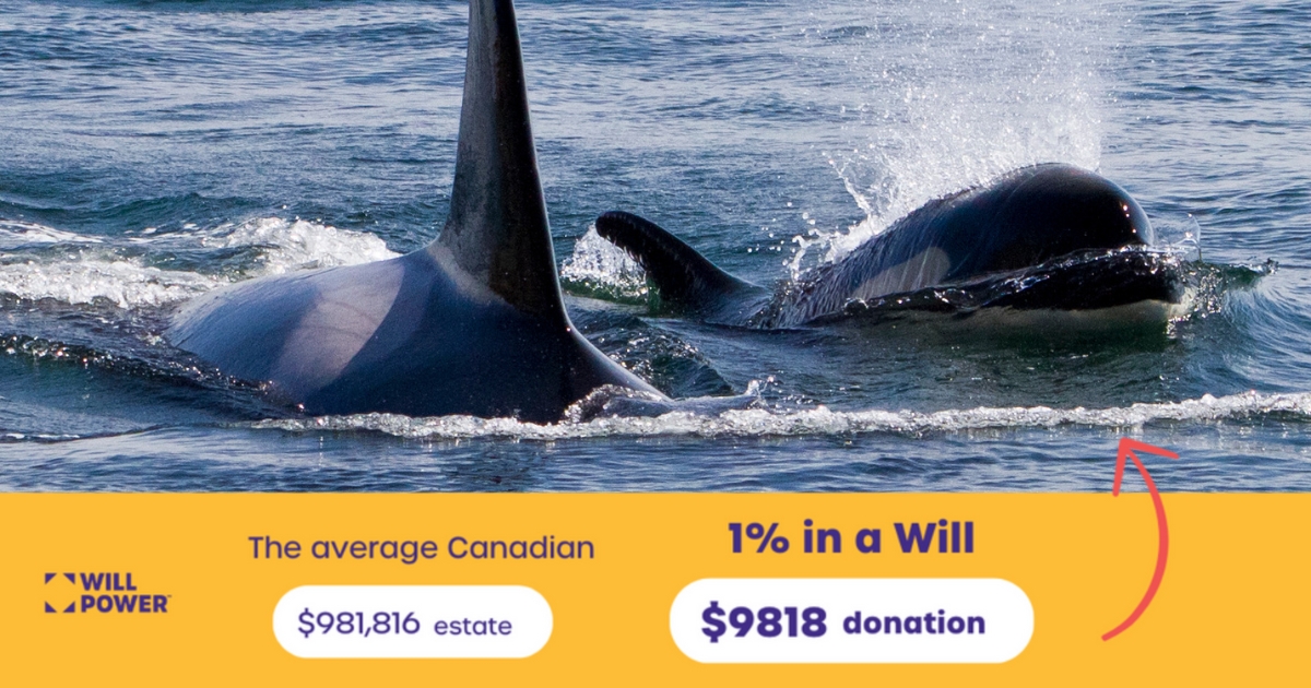 Will Power calculator calculating 1% of and estate and pointing to an image of orcas