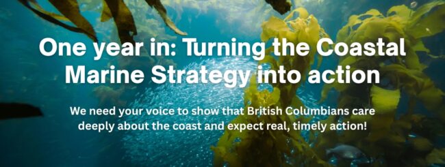 One Year In: Turning the Coastal Marine Strategy into Action - over image of herring swimming through a kelp forest