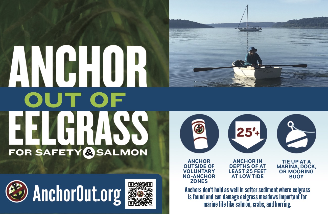 AnchorOut.org educational guide promoting eelgrass-friendly boating through safe anchoring locations and techniques that prevent eelgrass bed damage.