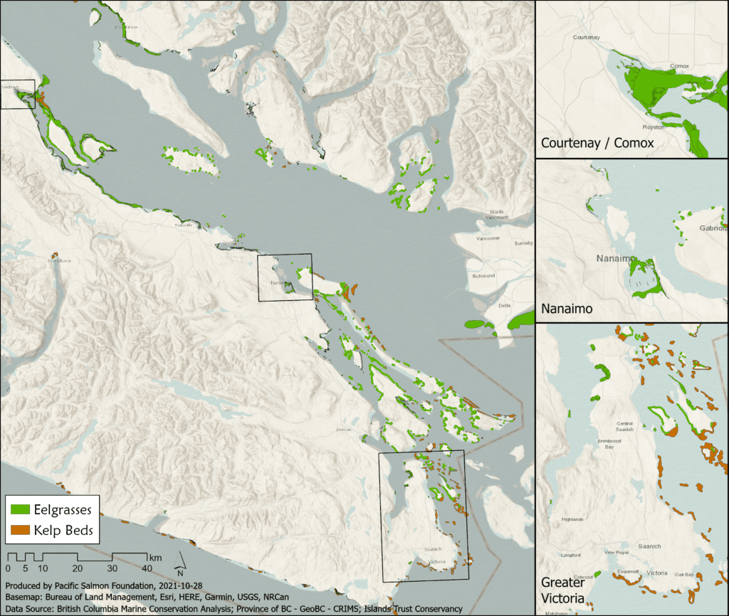 Pacific Salmon Foundation map showing eelgrass nearshore habitat distribution in British Columbia's Salish Sea waters, including the Strait of Georgia, for eelgrass-friendly boating reference.